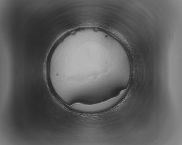 X0000100230942200806201441