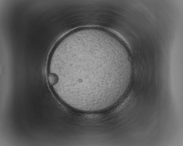 X0000100230943200806201441