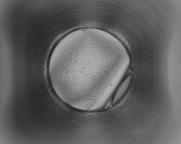 X0000100230944200806201441