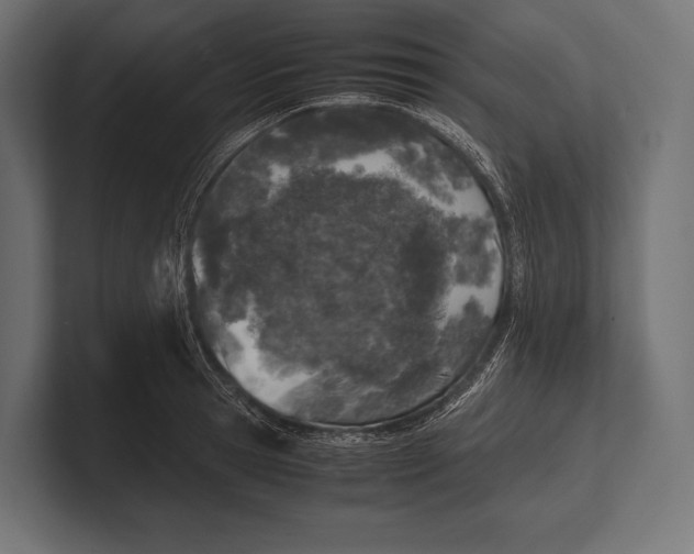 X0000100230945200806201441