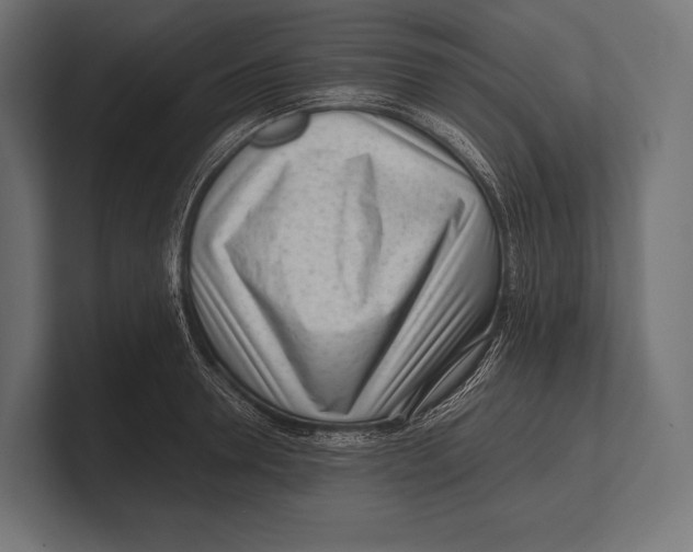 X0000100230946200806201441