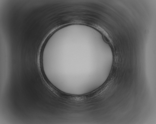 X0000100230947200806201441