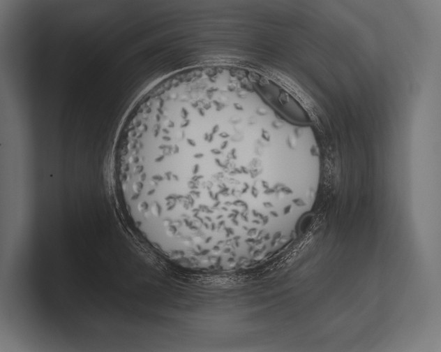 X0000100230948200806201441