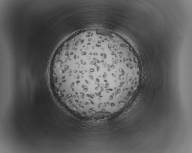 X0000100230949200806201441