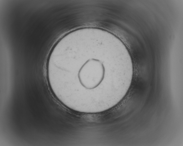 X0000100230950200806201441