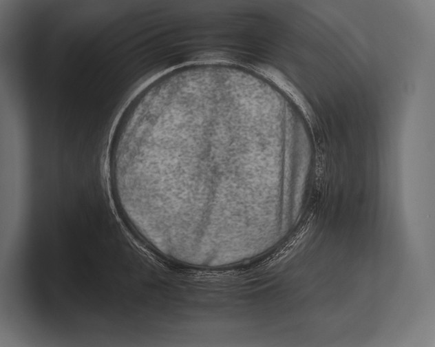 X0000100230951200806201441