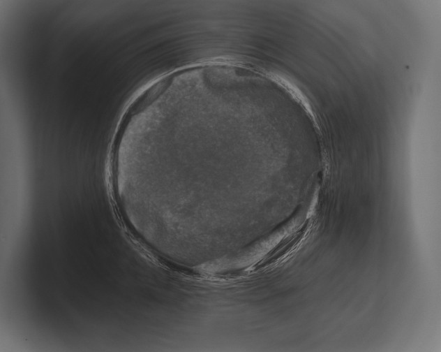 X0000100230952200806201441