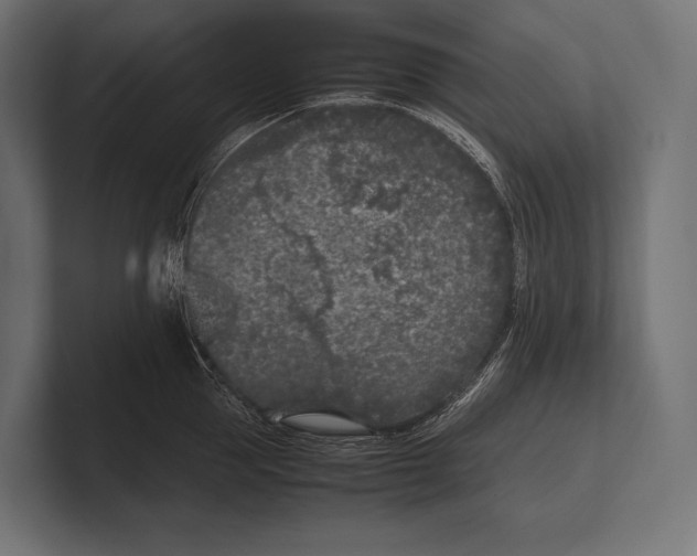 X0000100230953200806201441