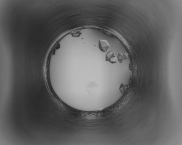 X0000100230955200806201441