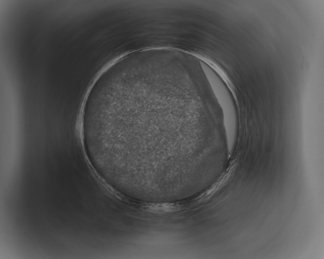 X0000100230957200806201441