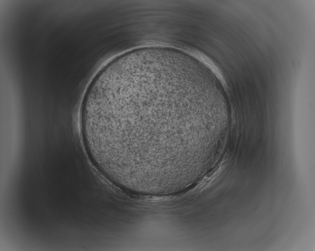 X0000100230958200806201441