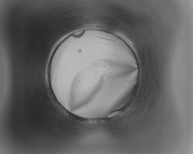 X0000100230960200806201441