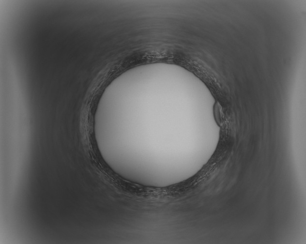 X0000100230961200806201440