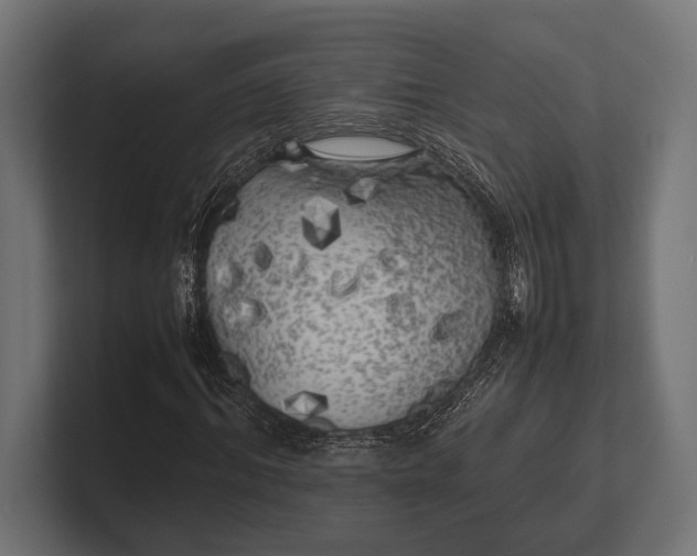 X0000100230964200806201440