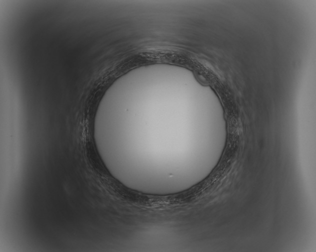 X0000100230965200806201440