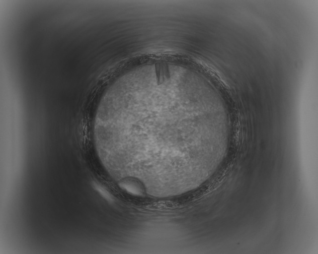 X0000100230966200806201440