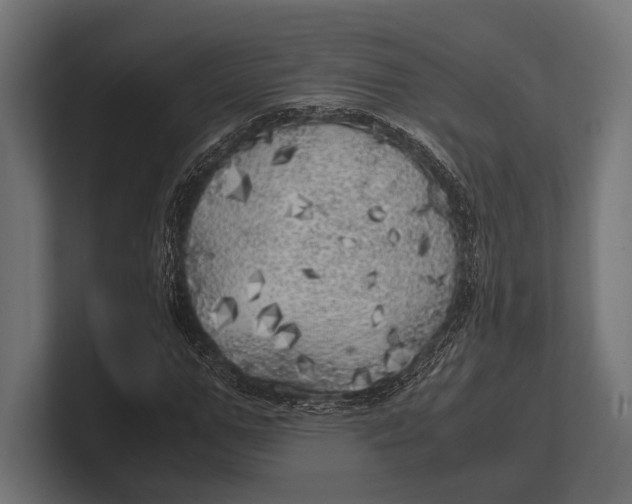 X0000100230967200806201440