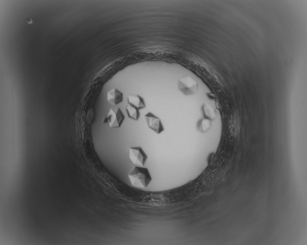 X0000100230968200806201440