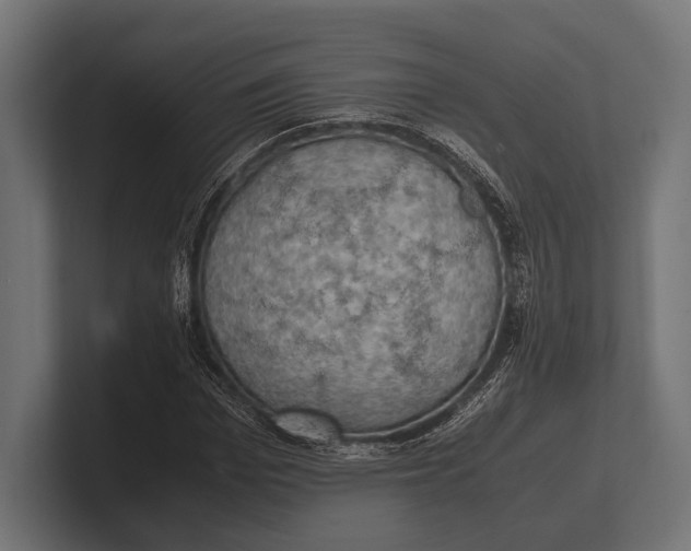 X0000100230969200806201440