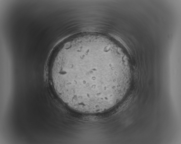 X0000100230971200806201440