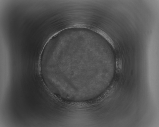 X0000100230972200806201440