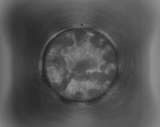 X0000100230975200806201440