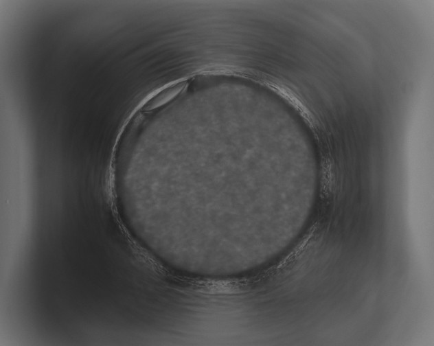 X0000100230976200806201440