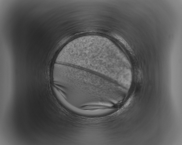 X0000100230977200806201440