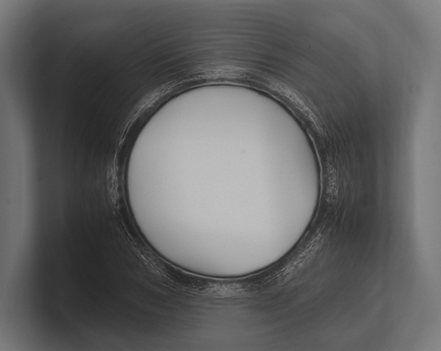 X0000100230978200806201440