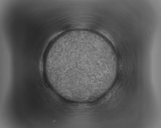 X0000100230979200806201440