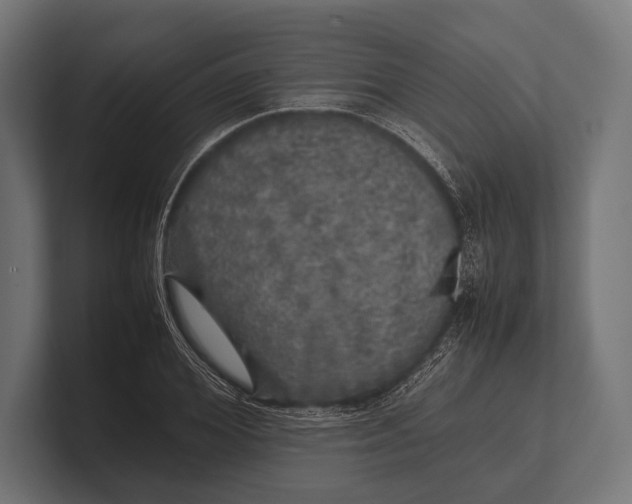 X0000100230980200806201440