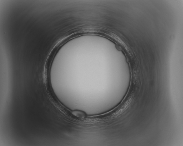 X0000100230981200806201440