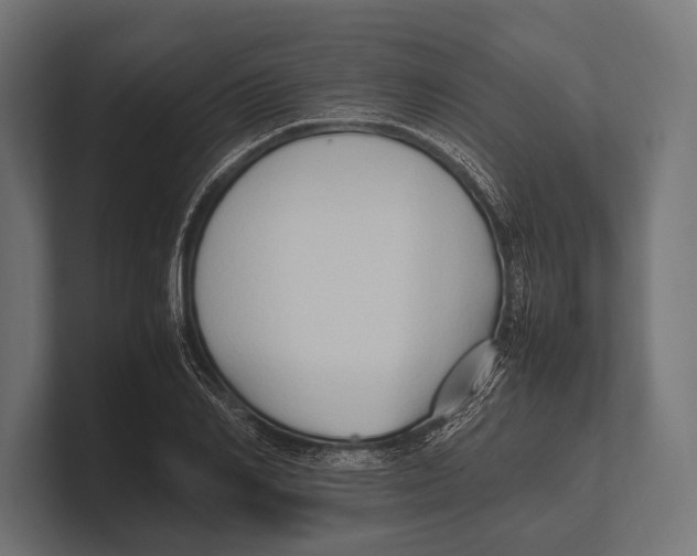 X0000100230982200806201440