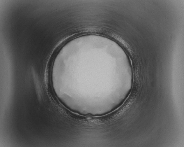 X0000100230983200806201440