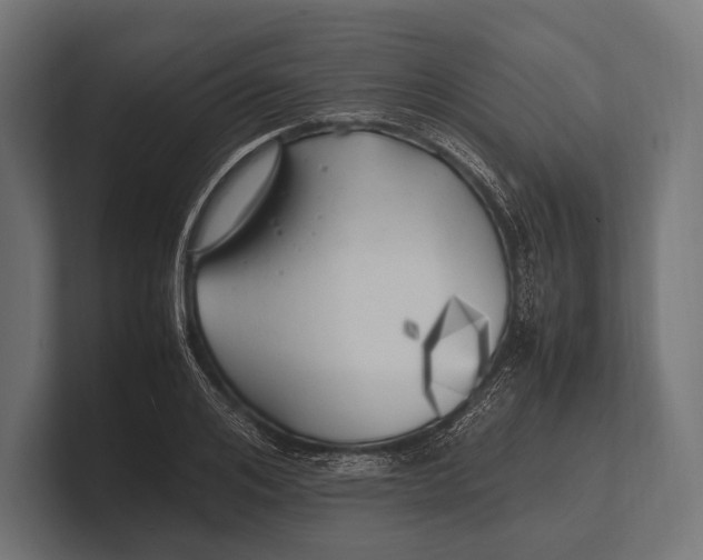 X0000100230984200806201440