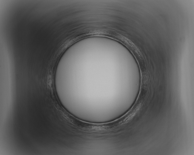 X0000100230985200806201440