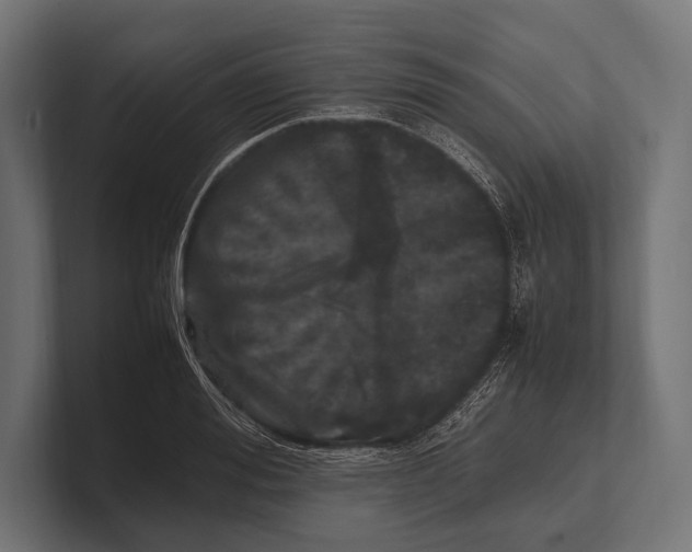 X0000100230988200806201440