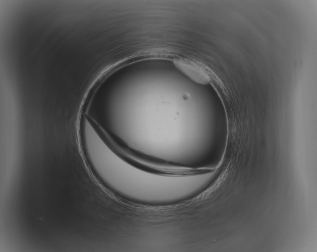 X0000100230989200806201440