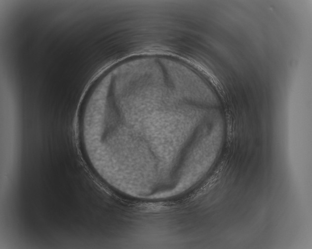 X0000100230990200806201440