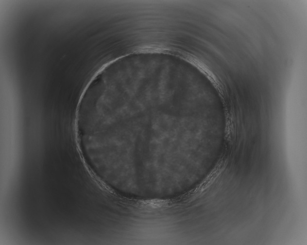 X0000100230992200806201440