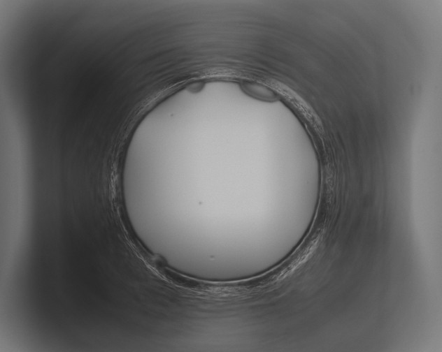 X0000100230993200806201440