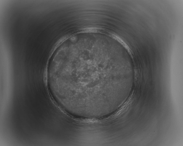 X0000100230994200806201440