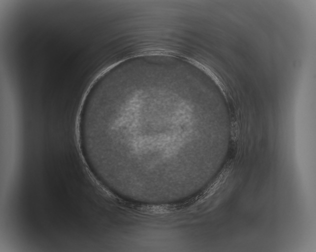 X0000100230995200806201440