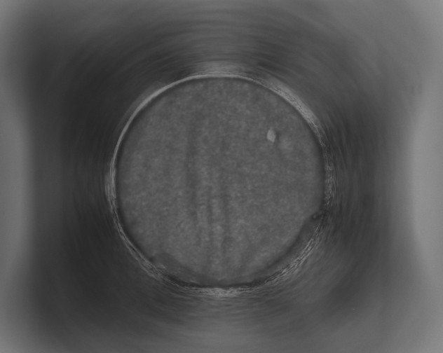 X0000100230996200806201440