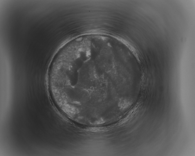 X0000100230998200806201440