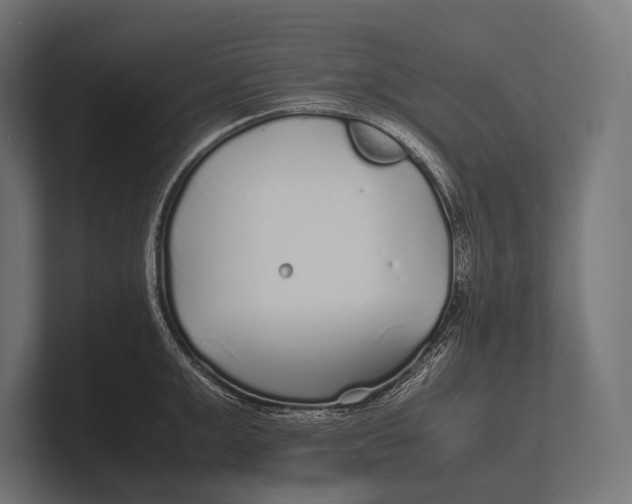 X0000100230999200806201440