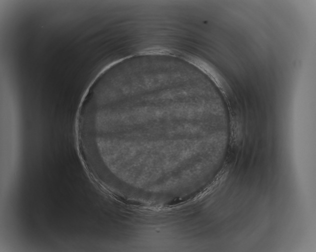 X0000100231000200806201440