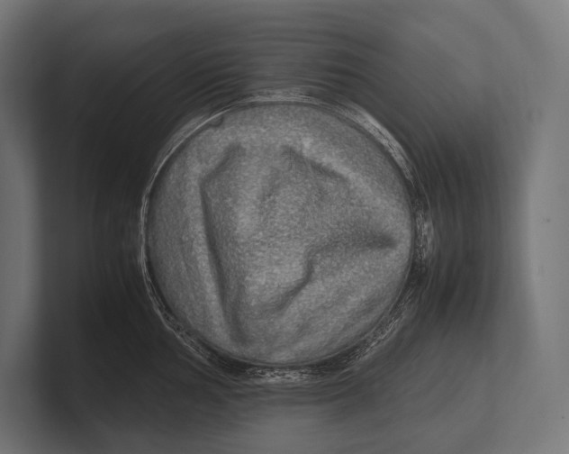 X0000100231002200806201440