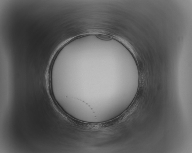 X0000100231003200806201440