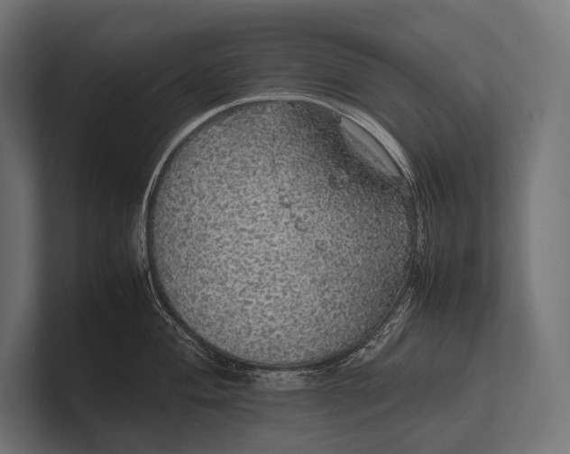 X0000100231004200806201440